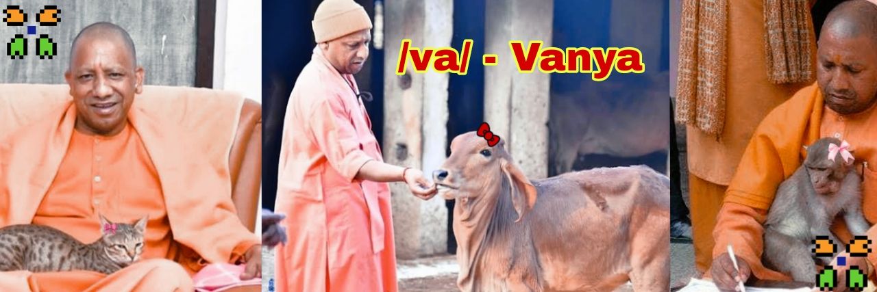 Vanya banner