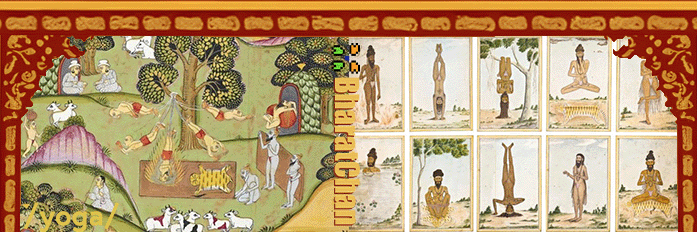 Yoga banner