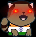 :cat_india: