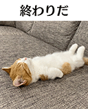 :its_over_cat: