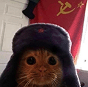 :soviet_cat: