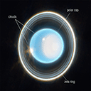 :uranus:
