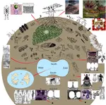 Screenshot_2026-03-29-02-20-08-04_96b26121e545231a3c569311a54cda96.jpg Screenshot_2026-03-29-02-20-08-04_96b26121e545231a3c569311a54cda96.jpg