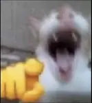 hgu5u9i81hq.png hgu5u9i81hq.png