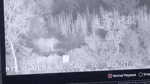 Sidhant Sibal - India's BSF says it has caused extensive damage to the Pakistan .mp4