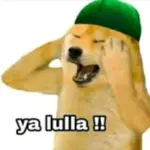 r1u1ogl76ap.jpg