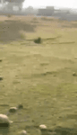 kx2hiyysh8r.mp4