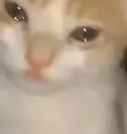 fn3dvd9lcvu.jpeg