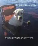 1728014254794590.jpg