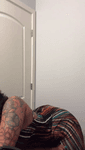 🦋_20240406_1_new_new_new.mp4