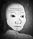 n5q2239av5o.gif