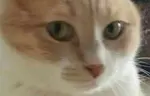 3c8d2y16b4l.jpg