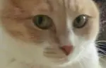 1747280281124_6766.jpg