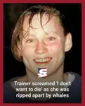 6tytref73sr.jpeg