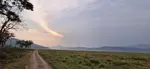 20250506_173358.jpg