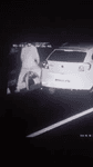 rsf2qucvkh.mp4