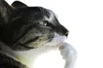 1747955889037836.jpg
