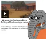 GrvMV0lWAAAwjDZ.jpeg