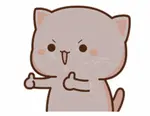 nnjg00wk4pr.gif