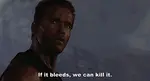 8zgctxhuhb6.gif