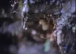 6zqcgn0nlya.png