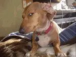 nblu8yxtg5d.gif