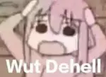 liz4ib7rf6.jpeg