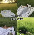 dln8ptx7wd.png