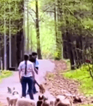 vid.mp4