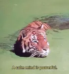 f8200b1016bdfbf2c674c9a556a30f4e.jpg
