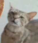 1750340603428_3813.jpeg