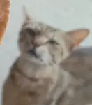 3oqqm36qe1p.jpeg