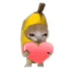 huufnsv6qq.png