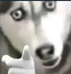 1757229513136_6852.jpeg