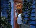 ww5pkwqlbqr.gif