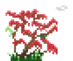 palash_tree300px.gif