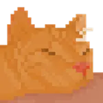 cat_.gif