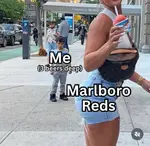 r9a7wwzcp3g.jpeg