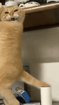 gzfio36pg6q.mp4 gzfio36pg6q.mp4
