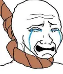 na2hkqbsfzs.jpeg