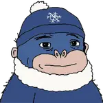 lu5u6hq6va.png