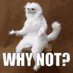 vriqp5no68m.gif vriqp5no68m.gif