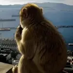 1obk4yngazi.jpeg 1obk4yngazi.jpeg