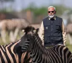 nmw3znmegu.jpg nmw3znmegu.jpg