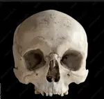 Screenshot 2025-12-11 150130.png