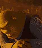 shrek-shrek-rizz.gif