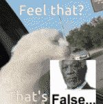 false-that's-false.gif false-that's-false.gif