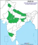 India-outline-map.jpg