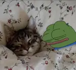 1761285707343506.png 1761285707343506.png