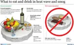 Heat_Wave_Health_Food.jpg Heat_Wave_Health_Food.jpg